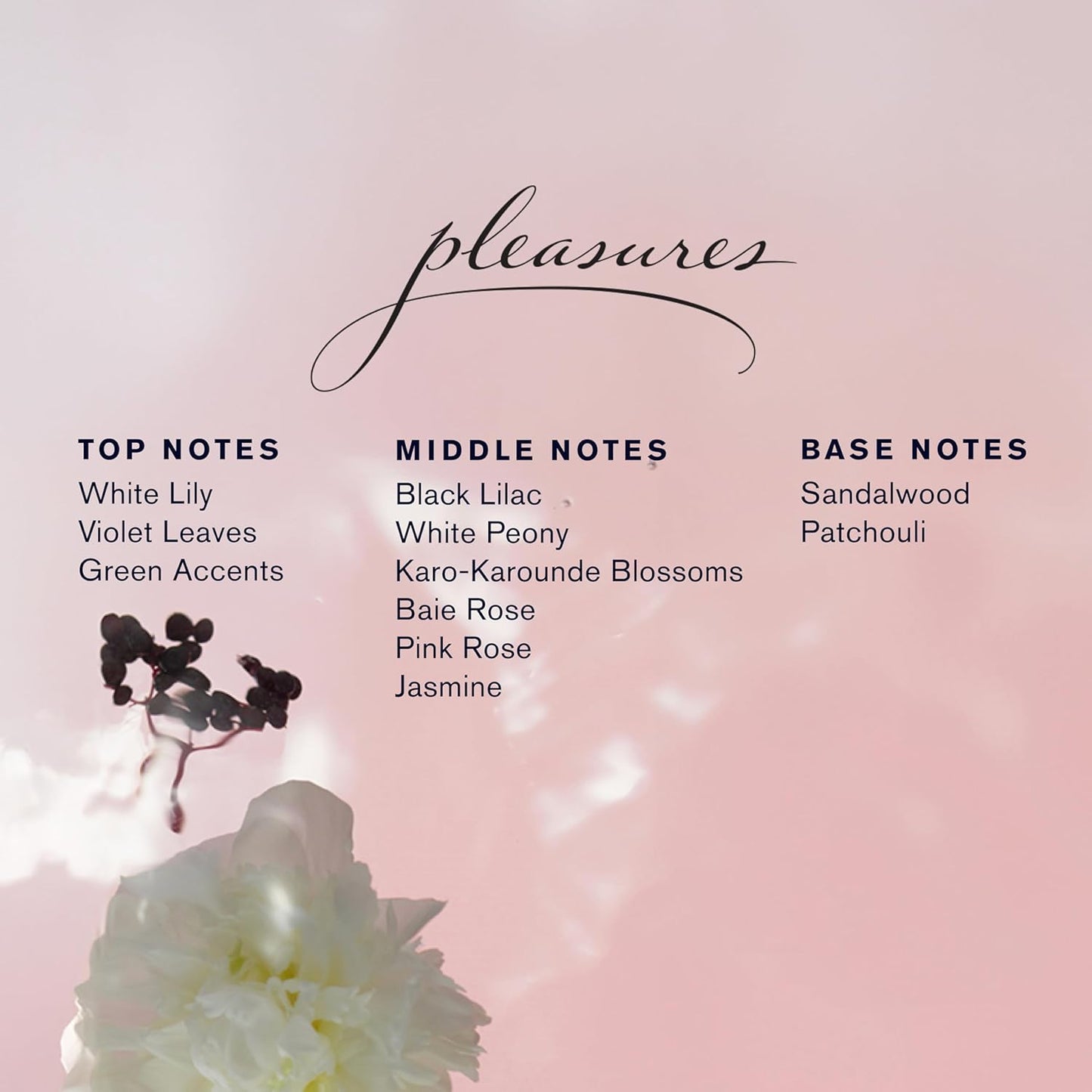 Fragrance Treasures Travel Size Perfume Gift Set | Includes Beautiful Magnolia, Bronze Goddess, Beautiful & Pleasures | Perfumes for Women